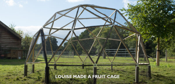 4_Louise made a fruit cage
