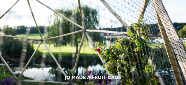 7_Jo made a fruit cage